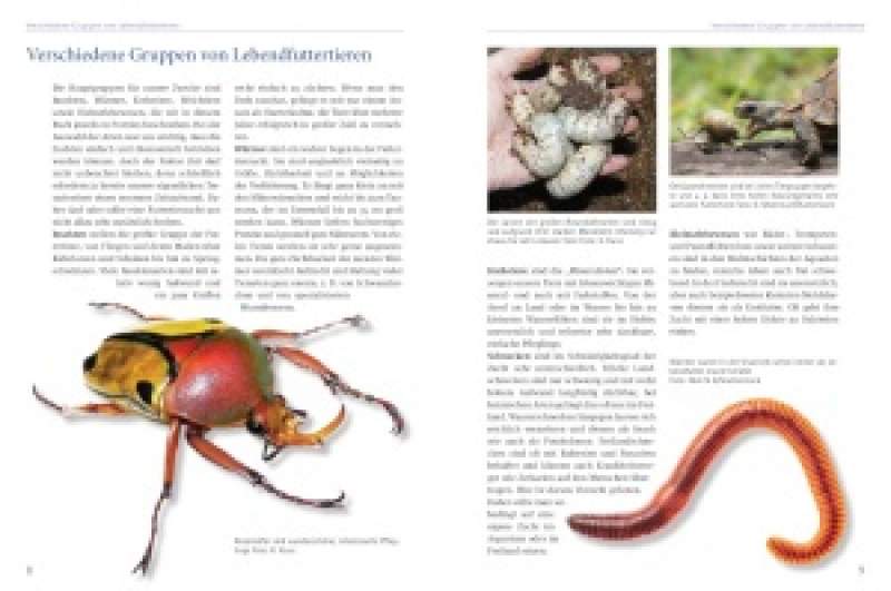 Preview: Lebendfutter selber züchten